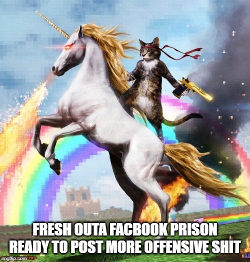 Welcome To The Internets | FRESH OUTA FACBOOK PRISON READY TO POST MORE OFFENSIVE SHIT | image tagged in memes,welcome to the internets | made w/ Imgflip meme maker