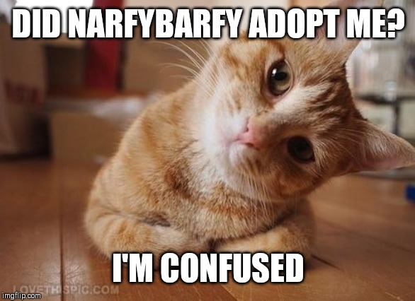 Curious Question Cat | DID NARFYBARFY ADOPT ME? I'M CONFUSED | image tagged in curious question cat | made w/ Imgflip meme maker