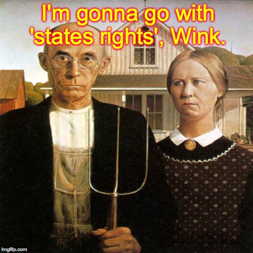 I'm gonna go with 'states rights', Wink. | made w/ Imgflip meme maker