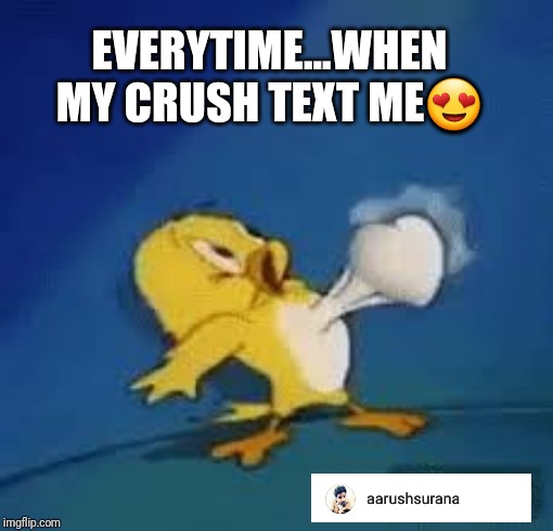 Crush | EVERYTIME...WHEN MY CRUSH TEXT ME😍 | image tagged in crush,love | made w/ Imgflip meme maker