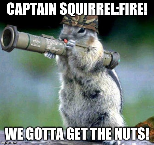 Bazooka Squirrel Meme | CAPTAIN SQUIRREL:FIRE! WE GOTTA GET THE NUTS! | image tagged in memes,bazooka squirrel | made w/ Imgflip meme maker