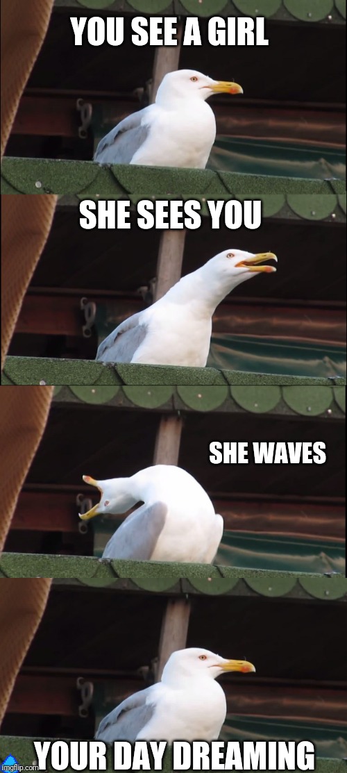 Inhaling Seagull Meme | YOU SEE A GIRL; SHE SEES YOU; SHE WAVES; YOUR DAY DREAMING | image tagged in memes,inhaling seagull | made w/ Imgflip meme maker