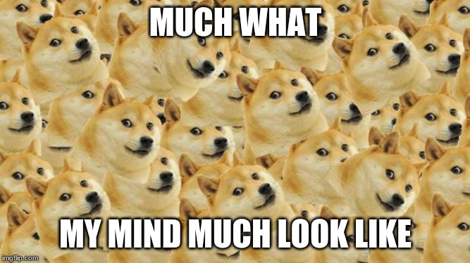Multi Doge | MUCH WHAT; MY MIND MUCH LOOK LIKE | image tagged in memes,multi doge | made w/ Imgflip meme maker