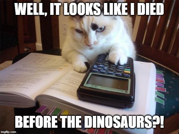 Math cat | WELL, IT LOOKS LIKE I DIED BEFORE THE DINOSAURS?! | image tagged in math cat | made w/ Imgflip meme maker
