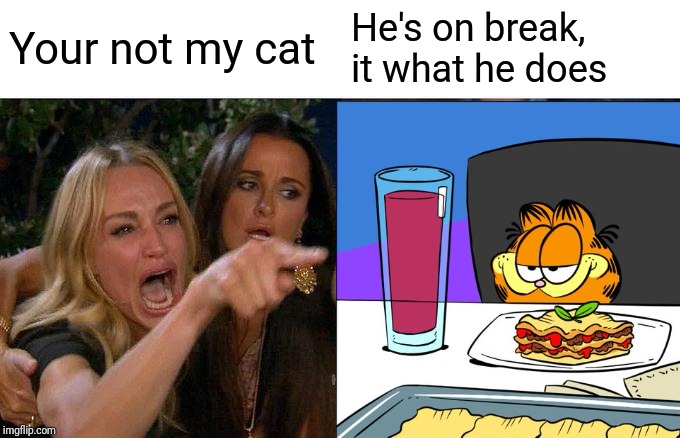 Your not my cat; He's on break, it what he does | image tagged in woman yelling at cat,garfield,memes | made w/ Imgflip meme maker