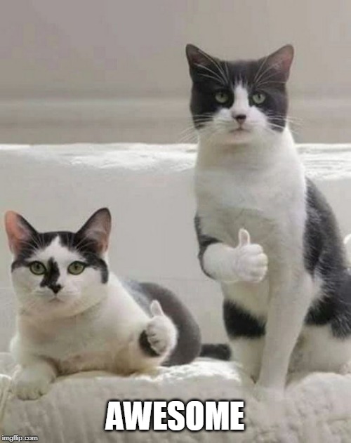 THUMBS UP CATS | AWESOME | image tagged in thumbs up cats | made w/ Imgflip meme maker