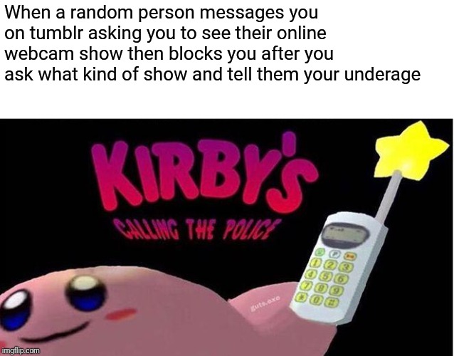 These hoes are everywhere | When a random person messages you on tumblr asking you to see their online webcam show then blocks you after you ask what kind of show and tell them your underage | image tagged in kirby's calling the police,underage,tumblr,webcam | made w/ Imgflip meme maker