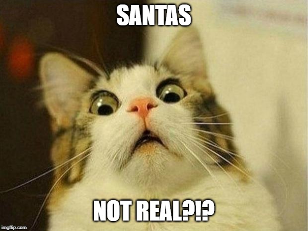 Scared Cat | SANTAS; NOT REAL?!? | image tagged in memes,scared cat | made w/ Imgflip meme maker