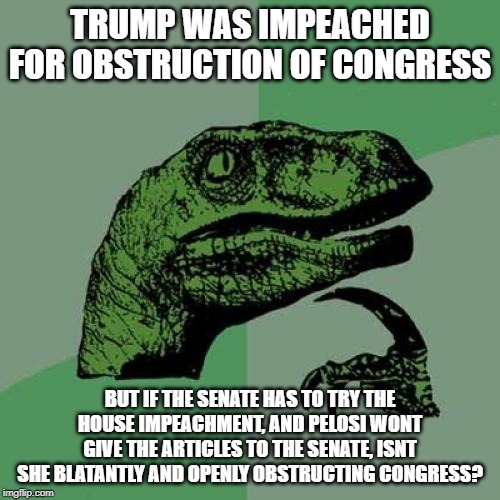 Pelosi Logic: Muck within S Hit | TRUMP WAS IMPEACHED FOR OBSTRUCTION OF CONGRESS; BUT IF THE SENATE HAS TO TRY THE HOUSE IMPEACHMENT, AND PELOSI WONT GIVE THE ARTICLES TO THE SENATE, ISNT SHE BLATANTLY AND OPENLY OBSTRUCTING CONGRESS? | image tagged in nancy pelosi wtf,special snowflake,stupidity,stupid liberals,nancy pelosi,maga | made w/ Imgflip meme maker