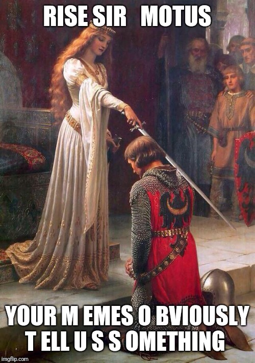 Knighting  | RISE SIR   MOTUS; YOUR M EMES O BVIOUSLY T ELL U S S OMETHING | image tagged in knighting | made w/ Imgflip meme maker