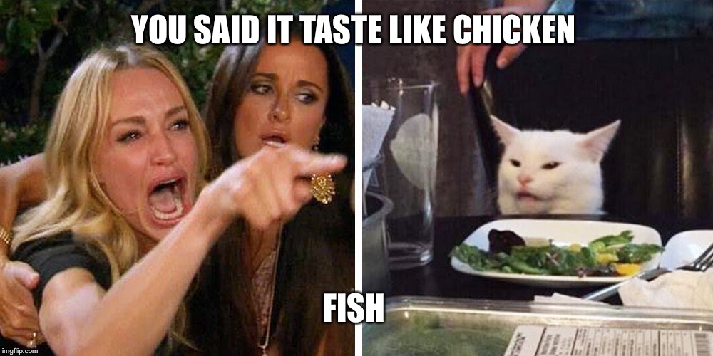 Smudge the cat | YOU SAID IT TASTE LIKE CHICKEN; FISH | image tagged in smudge the cat | made w/ Imgflip meme maker