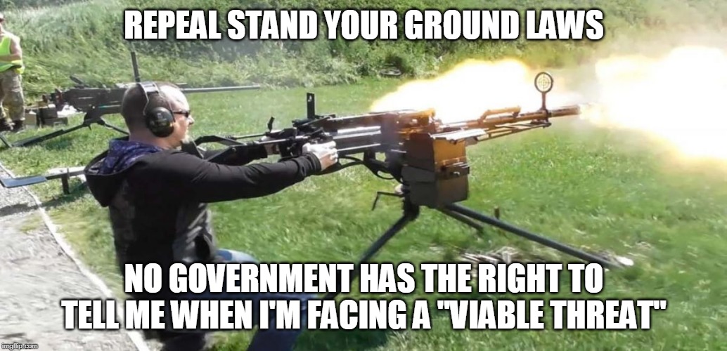 Shoot 'Em Up! | REPEAL STAND YOUR GROUND LAWS; NO GOVERNMENT HAS THE RIGHT TO TELL ME WHEN I'M FACING A "VIABLE THREAT" | image tagged in second amendment,stand your ground,guns,government,viable threat,constitution | made w/ Imgflip meme maker