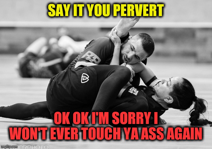 HANDS OFF | SAY IT YOU PERVERT; OK OK I'M SORRY I WON'T EVER TOUCH YA ASS AGAIN | image tagged in perverts,no hands,mortal kombat x | made w/ Imgflip meme maker