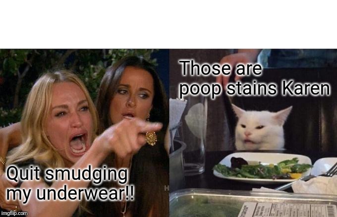Woman Yelling At Cat Meme | Those are poop stains Karen; Quit smudging my underwear!! | image tagged in memes,woman yelling at cat | made w/ Imgflip meme maker