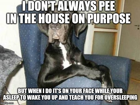 I DON'T ALWAYS PEE IN THE HOUSE ON PURPOSE; BUT WHEN I DO IT'S ON YOUR FACE WHILE YOUR ASLEEP TO WAKE YOU UP AND TEACH YOU FOR OVERSLEEPING | image tagged in dogs,pee | made w/ Imgflip meme maker