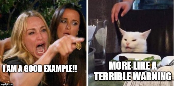 MORE LIKE A TERRIBLE WARNING; I AM A GOOD EXAMPLE!! | image tagged in smudge the cat | made w/ Imgflip meme maker