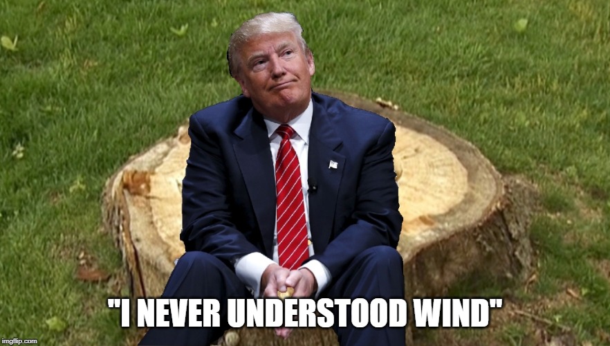 "Jenius" | "I NEVER UNDERSTOOD WIND" | image tagged in trump on a stump | made w/ Imgflip meme maker
