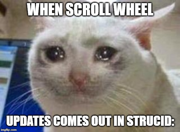 Sad cat | WHEN SCROLL WHEEL; UPDATES COMES OUT IN STRUCID: | image tagged in sad cat | made w/ Imgflip meme maker