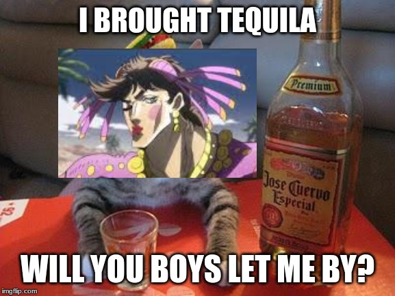 tequila cat | I BROUGHT TEQUILA; WILL YOU BOYS LET ME BY? | image tagged in tequila cat | made w/ Imgflip meme maker