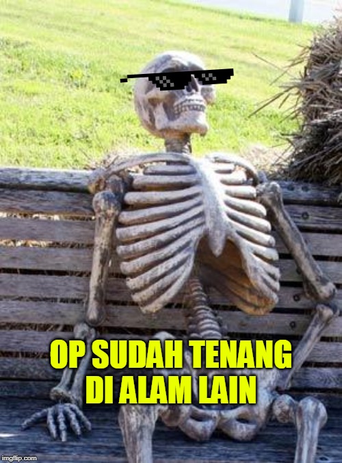Waiting Skeleton Meme | OP SUDAH TENANG DI ALAM LAIN | image tagged in memes,waiting skeleton | made w/ Imgflip meme maker