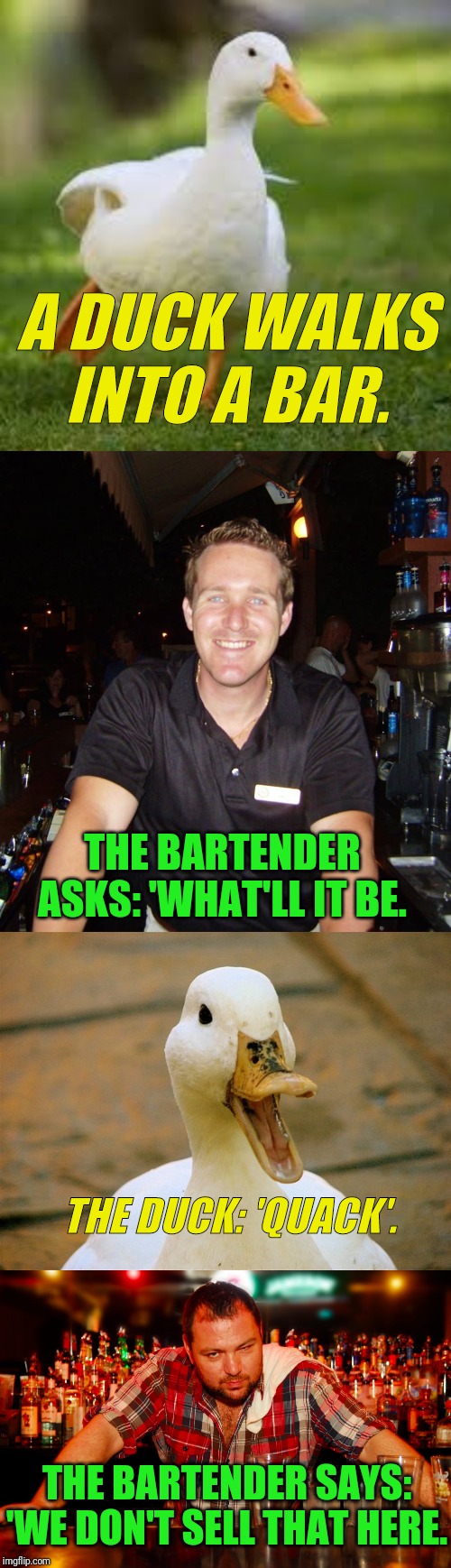 A Duck Walks Into A Bar | A DUCK WALKS INTO A BAR. THE BARTENDER ASKS: 'WHAT'LL IT BE. THE DUCK: 'QUACK'. THE BARTENDER SAYS: 'WE DON'T SELL THAT HERE. | image tagged in ducks be like,jason the bartender,annoyed bartender,duck,bar jokes | made w/ Imgflip meme maker