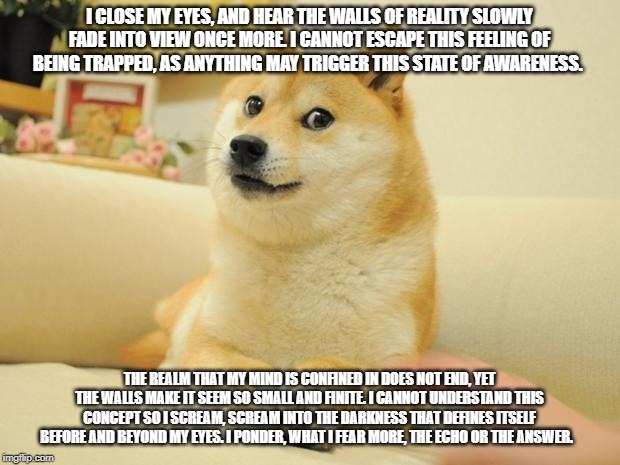 Doge 2 Meme | I CLOSE MY EYES, AND HEAR THE WALLS OF REALITY SLOWLY FADE INTO VIEW ONCE MORE. I CANNOT ESCAPE THIS FEELING OF BEING TRAPPED, AS ANYTHING MAY TRIGGER THIS STATE OF AWARENESS. THE REALM THAT MY MIND IS CONFINED IN DOES NOT END, YET THE WALLS MAKE IT SEEM SO SMALL AND FINITE. I CANNOT UNDERSTAND THIS CONCEPT SO I SCREAM, SCREAM INTO THE DARKNESS THAT DEFINES ITSELF BEFORE AND BEYOND MY EYES. I PONDER, WHAT I FEAR MORE, THE ECHO OR THE ANSWER. | image tagged in memes,doge 2 | made w/ Imgflip meme maker