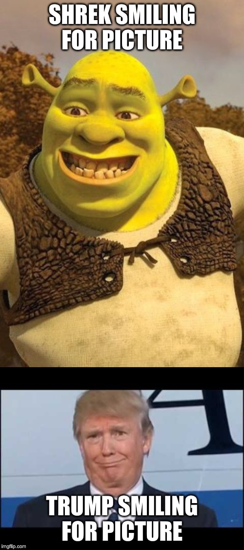 SHREK SMILING FOR PICTURE; TRUMP SMILING FOR PICTURE | image tagged in smiling shrek | made w/ Imgflip meme maker