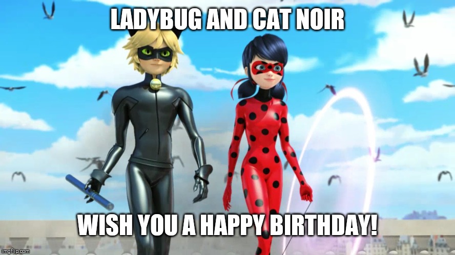 Miraculous Ladybug and Cat Noir (Chat Noir) | LADYBUG AND CAT NOIR WISH YOU A HAPPY BIRTHDAY! | image tagged in miraculous ladybug and cat noir chat noir | made w/ Imgflip meme maker