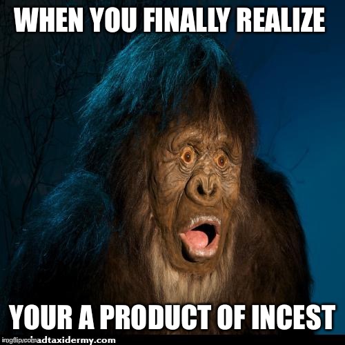Big foot | WHEN YOU FINALLY REALIZE; YOUR A PRODUCT OF INCEST | image tagged in big foot | made w/ Imgflip meme maker