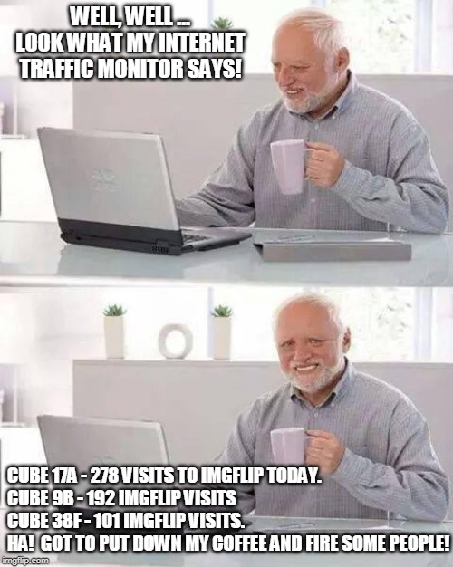 Here he comes!  Get back to work! | WELL, WELL ... LOOK WHAT MY INTERNET TRAFFIC MONITOR SAYS! CUBE 17A - 278 VISITS TO IMGFLIP TODAY.
CUBE 9B - 192 IMGFLIP VISITS
CUBE 38F - 101 IMGFLIP VISITS.
HA!  GOT TO PUT DOWN MY COFFEE AND FIRE SOME PEOPLE! | image tagged in memes,hide the pain harold,millennials | made w/ Imgflip meme maker