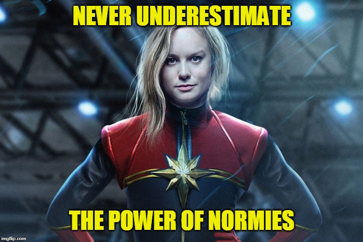 Captain marvel | NEVER UNDERESTIMATE; THE POWER OF NORMIES | image tagged in captain marvel | made w/ Imgflip meme maker