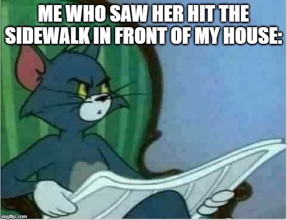 Interrupting Tom's Read | ME WHO SAW HER HIT THE SIDEWALK IN FRONT OF MY HOUSE: | image tagged in interrupting tom's read | made w/ Imgflip meme maker