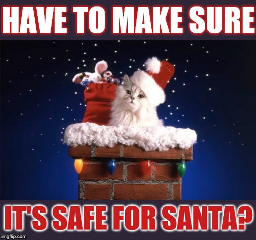 But Doesn't Someone | HAVE TO MAKE SURE; IT'S SAFE FOR SANTA? | image tagged in memes,christmas,kitten,check,chimney,safe for santa | made w/ Imgflip meme maker