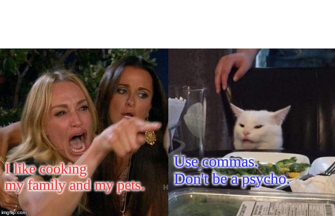 Woman Yelling At Cat | Use commas.  Don't be a psycho. I like cooking my family and my pets. | image tagged in memes,woman yelling at cat | made w/ Imgflip meme maker