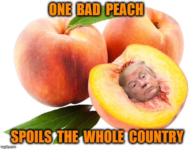 Throw Out Bad Fruit Before It Spreads | ONE  BAD  PEACH; SPOILS  THE  WHOLE  COUNTRY | image tagged in donald trump,donald trump approves,impeach trump,impeachment,trump impeachment | made w/ Imgflip meme maker