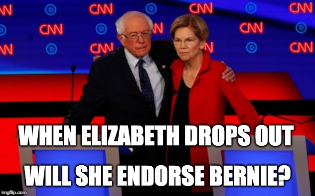 WHEN ELIZABETH DROPS OUT; WILL SHE ENDORSE BERNIE? | image tagged in bernie sanders | made w/ Imgflip meme maker