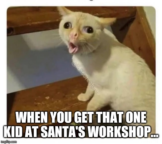 Coughing Cat | WHEN YOU GET THAT ONE KID AT SANTA'S WORKSHOP... | image tagged in coughing cat | made w/ Imgflip meme maker