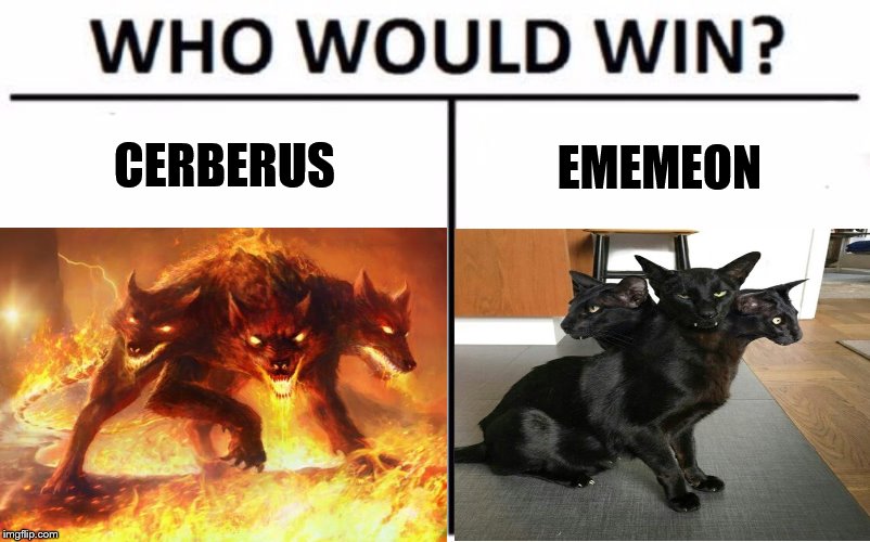 Who would win? Literally, now I'm wondering... | CERBERUS; EMEMEON | image tagged in death battle,who would win | made w/ Imgflip meme maker