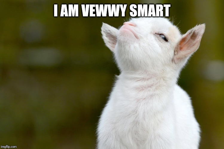 I AM VEWWY SMART | image tagged in proud baby goat | made w/ Imgflip meme maker