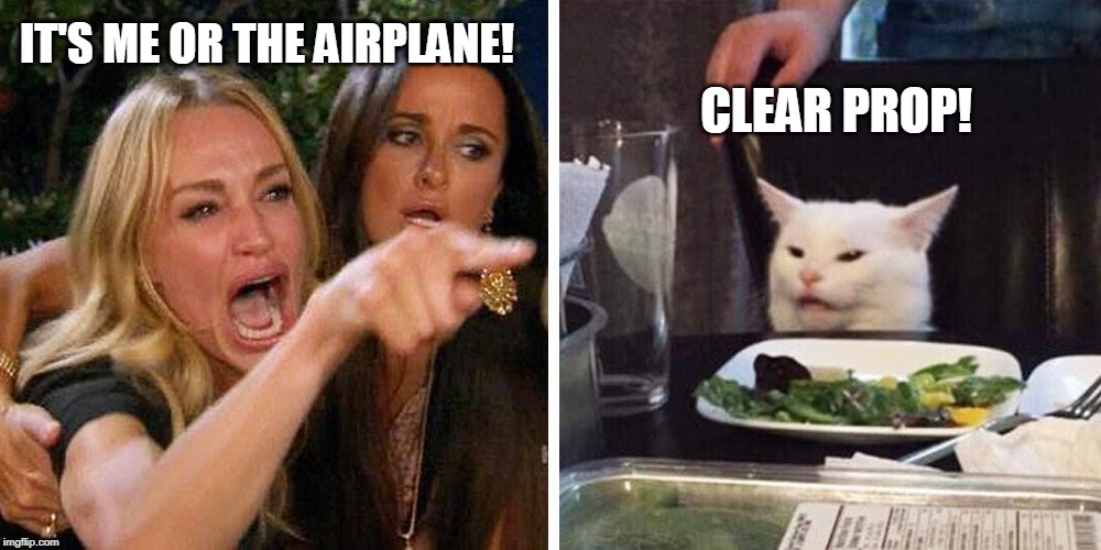 Smudge the cat |  CLEAR PROP! IT'S ME OR THE AIRPLANE! | image tagged in smudge the cat,clear prop | made w/ Imgflip meme maker