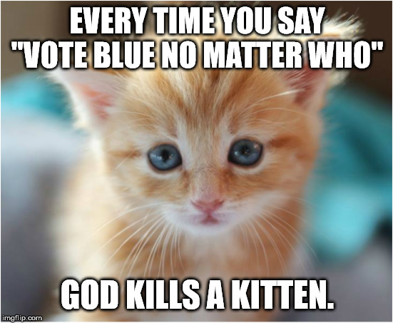EVERY TIME YOU SAY "VOTE BLUE NO MATTER WHO"; GOD KILLS A KITTEN. | image tagged in kitten,god,vbnmw,vote blue no matter who | made w/ Imgflip meme maker