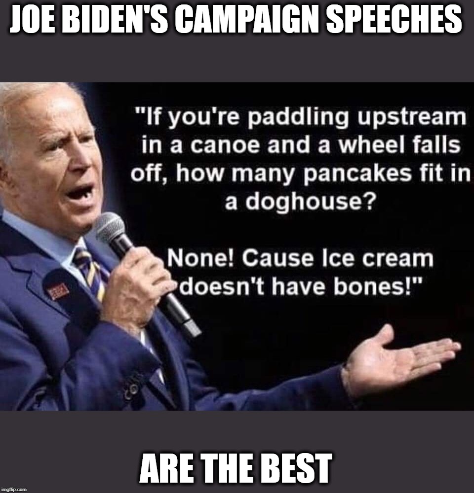 "I love Vermont!" "This is New Hampshire, Joe" "Ohio is the Best!" "It's New Hampshire, Joe" | JOE BIDEN'S CAMPAIGN SPEECHES; ARE THE BEST | image tagged in democrats,politics | made w/ Imgflip meme maker