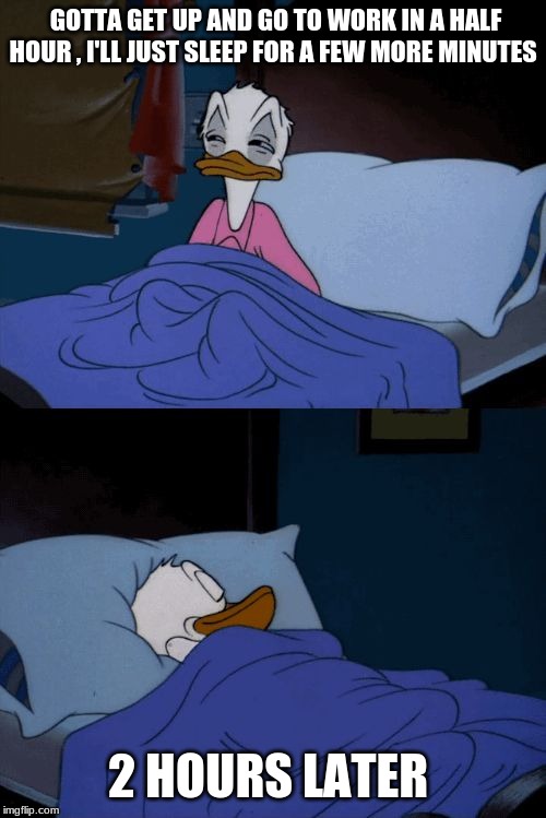 Sleeping Donald Duck | GOTTA GET UP AND GO TO WORK IN A HALF HOUR , I'LL JUST SLEEP FOR A FEW MORE MINUTES; 2 HOURS LATER | image tagged in sleeping donald duck | made w/ Imgflip meme maker