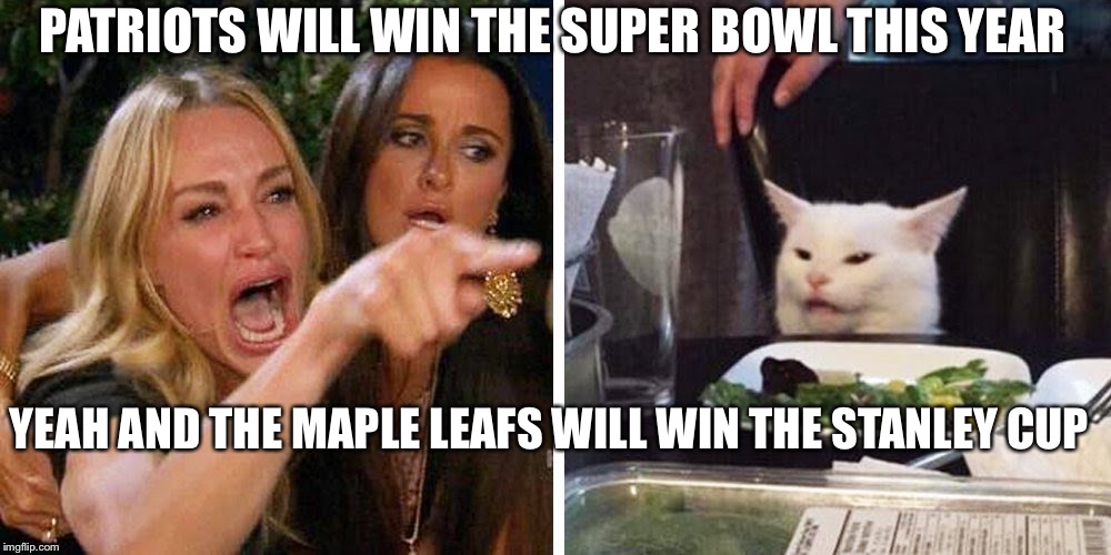 Smudge the cat | PATRIOTS WILL WIN THE SUPER BOWL THIS YEAR; YEAH AND THE MAPLE LEAFS WILL WIN THE STANLEY CUP | image tagged in smudge the cat | made w/ Imgflip meme maker