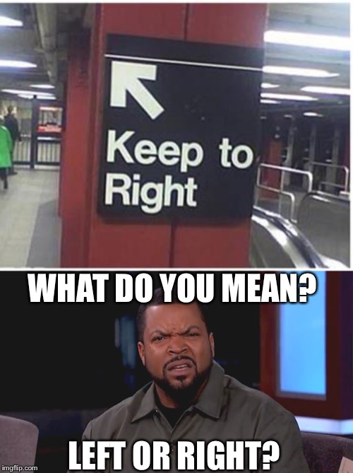 Left or right? |  WHAT DO YOU MEAN? LEFT OR RIGHT? | image tagged in really ice cube,funny,memes,left,right,stupid signs | made w/ Imgflip meme maker
