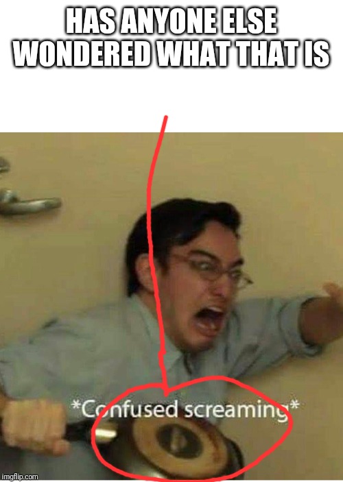 confused screaming | HAS ANYONE ELSE WONDERED WHAT THAT IS | image tagged in confused screaming | made w/ Imgflip meme maker