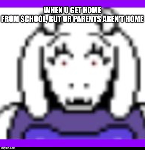 WHEN U GET HOME FROM SCHOOL, BUT UR PARENTS AREN'T HOME | made w/ Imgflip meme maker