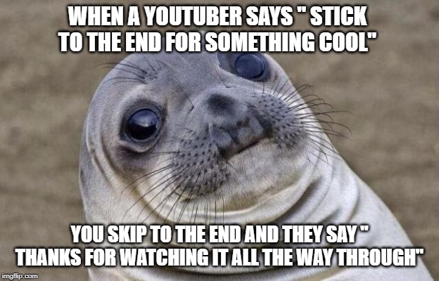 Awkward Moment Sealion | WHEN A YOUTUBER SAYS " STICK TO THE END FOR SOMETHING COOL"; YOU SKIP TO THE END AND THEY SAY " THANKS FOR WATCHING IT ALL THE WAY THROUGH" | image tagged in memes,awkward moment sealion | made w/ Imgflip meme maker