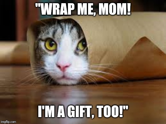 Funny animals | "WRAP ME, MOM! I'M A GIFT, TOO!" | image tagged in funny animals | made w/ Imgflip meme maker