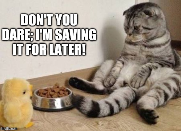 Crazy Animals | DON'T YOU DARE; I'M SAVING IT FOR LATER! | image tagged in crazy animals | made w/ Imgflip meme maker